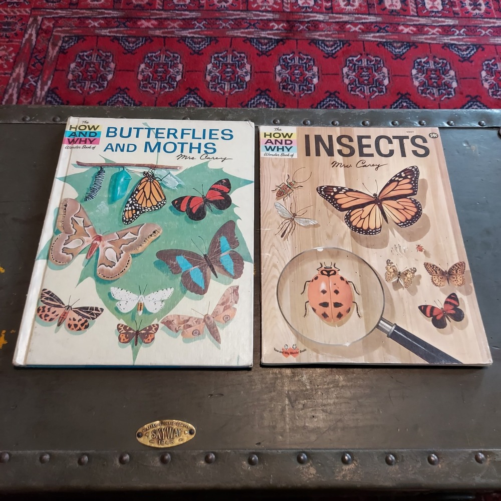 Vintage 1960s How and Why Wonder Books Insects Butterflies and Moths Set of 2